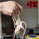 목포우체국 전화박스 이미지