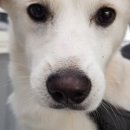 수면부상 이미지