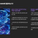 서브발전소 | 🧬 NMN 영양제, 정말 효과 있을까? 솔직 후기와 부작용까지 총정리 (복용 전 필독!)