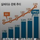 금다올