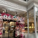 [5/24] 심리극 속 나를 찾는 여행 : 나를 또 다시 외치다 | 구마모토 여행 2박3일 3편 나만 알고 싶었던 찐 내돈내산 코스 공개 (+구글지도 공유)