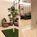 도그필드 이미지