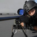 청해자원 이미지