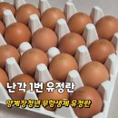 행복양계장 | 난각 1번 품질의 무항생제 양계장청년 유정란