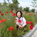 참샘농원 이미지
