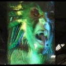 영진안경 이미지