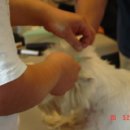 화이트그루밍 이미지