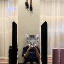 태그홈트 이미지