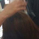 카라헤어샵 이미지