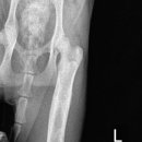 삼화 우수한동물병원 이미지