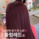 지에스25 청주센트럴점 | 청주염색 ㅣ 청주미용실 ㅣ 레드염색 ㅣ 플럼레드 ㅣ 청주플럼레드 ㅣ 탈색없이염색 ㅣ 청주염색잘하는...