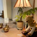 서귀포힐즈호텔 | 서귀포 요가 키아나 신시가지점: 두 달간의 솔직한 원데이클래스 후기