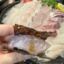 회바라기 이미지
