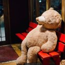 올리브장작 이미지