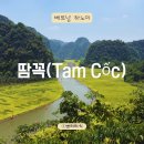 하노이 인근 닌빈 땀꼭 당일치기 여행, 평화로운 보트투어 솔직 후기