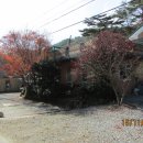 채락산장 이미지