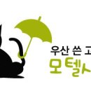 우산쓴고양이 이미지