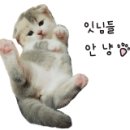 스타벅스 거제옥포DT점 이미지