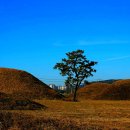 금척상리 이미지