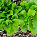 우리들 세상 이미지