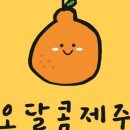 제주특산품할인매장 이미지