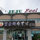 제주 필 하우스 이미지