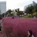 혁신도시중앙공원 이미지