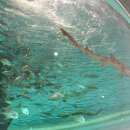 부산해양박물관 이미지