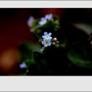 하늘담다 이미지