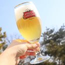 [신도림] 삼겹살 맛집 라도맨션 골드 후기, 프리미엄 칼삼겹 제대로 즐기고 왔어요!