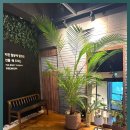 몸사랑 힐링샵 이미지