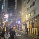 강아지가정부 | (장문주의) 꿀팁 대방출 나노단위 홍콩여행일기 1일차