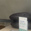 토리헤어 | 포항 양덕 미용실 토리헤어 후기 - 토리헤어에서 예약없이 즉흥 펌 도전(가격표, 서비스 정보)