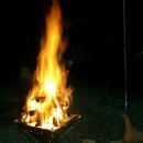 단풍숲캠핑장 이미지