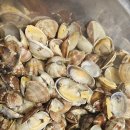 황포펜션 이미지