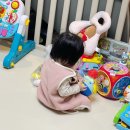 10개월 아기 분유량 아이배냇 순산양분유