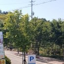 영광 법성진성 이미지