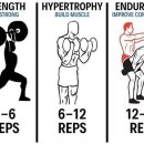 리투퍼 운동센터 이미지
