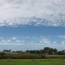 초은농장 이미지