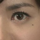 복땡이
