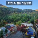 별곰캠핑힐 이미지