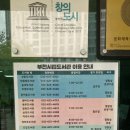 신흥로275번길 | 부천시립꿈빛도서관 오랜만에 방문 &amp; 후기