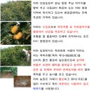 경남창원유황꿀단감 & 전남영광 재배한 귀한 쿠마토 공동구매 이미지