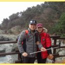 다올커피숍 Daum카페