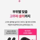 바디닥터 이미지