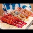 한 마리에 6000원? 조인성 놀라게 한 독도 새우가 뭐길래? 이미지