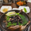 오덕진흑염소와오리전문점 | 서울 중랑구맛집 오덕진흑염소와오리 본점 주차 오리백숙 후기