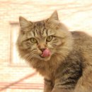 천일초등학교 이미지