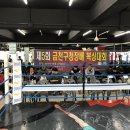 팀와일드울프 - 금천구 시흥대로 212 | 팀와일드울프