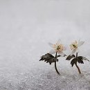 [2년 전 오늘] KS인증 수천만원 브로커 활개(’18.01.03, MBC)_ 산자부 보도자료 후기